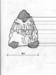 L_W12c7514 A07.0501 J704 cw fg